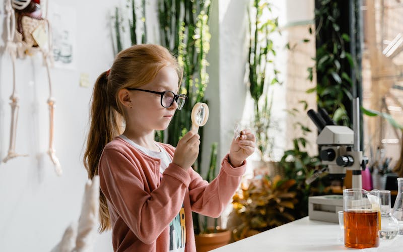 pexels-photo-8471945